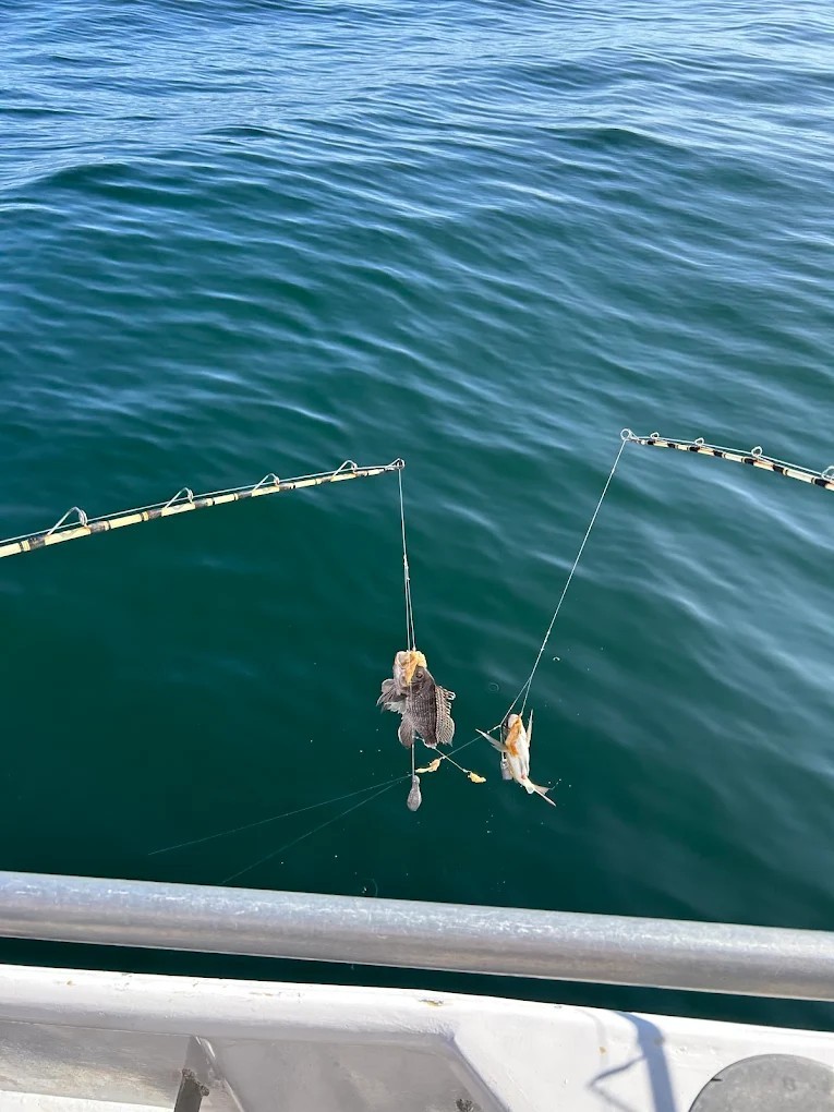 Fishing boat Point Lookout NY — group of anglers returning with catch aboard Super Hawk charter at sunset