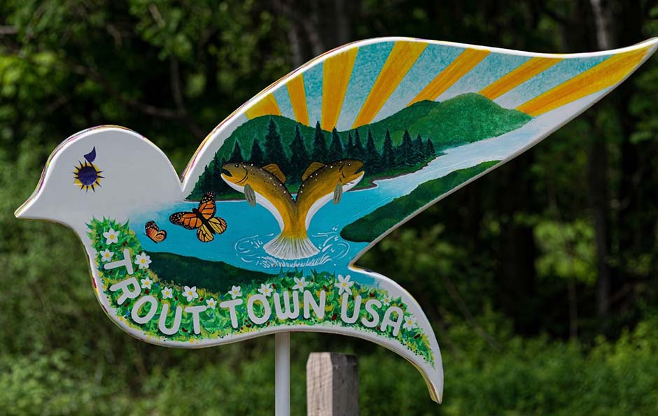 J&S Creekside Cabins dove trail Roscoe