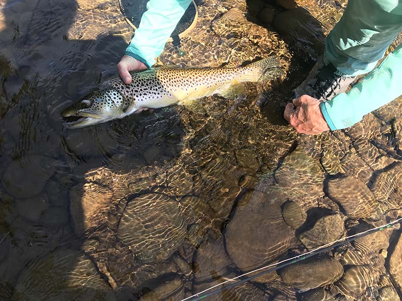 J&S Creekside Cabins trout fishing