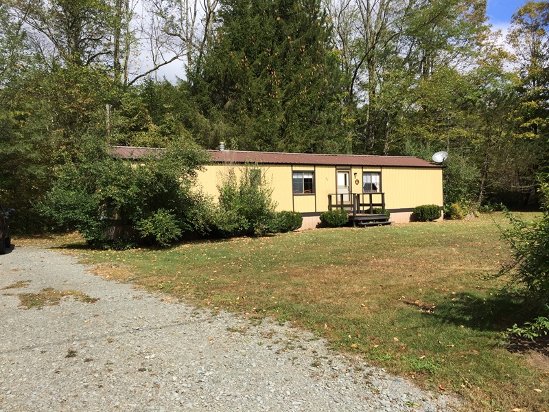 Cabin rentals Catskills in Livingston Manor — rustic creekside cabins nestled among Catskill Mountain trees