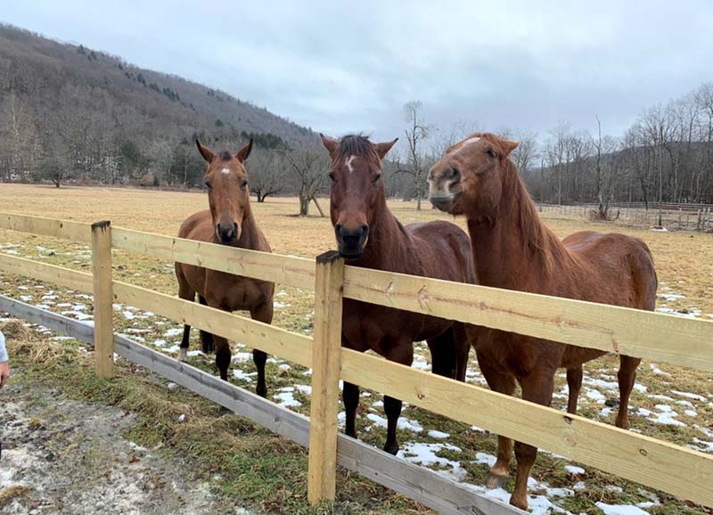 Winter cabin rentals by J&S Creekside Cabins in Willowemoc Valley